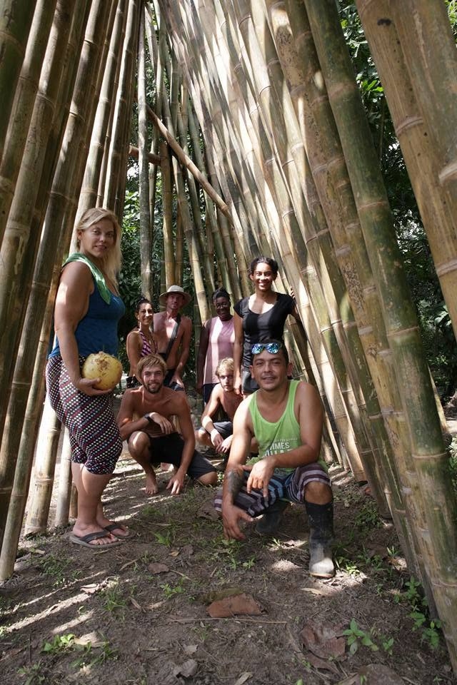Group of travelers and locals among towering bamboo at Casa Brújula